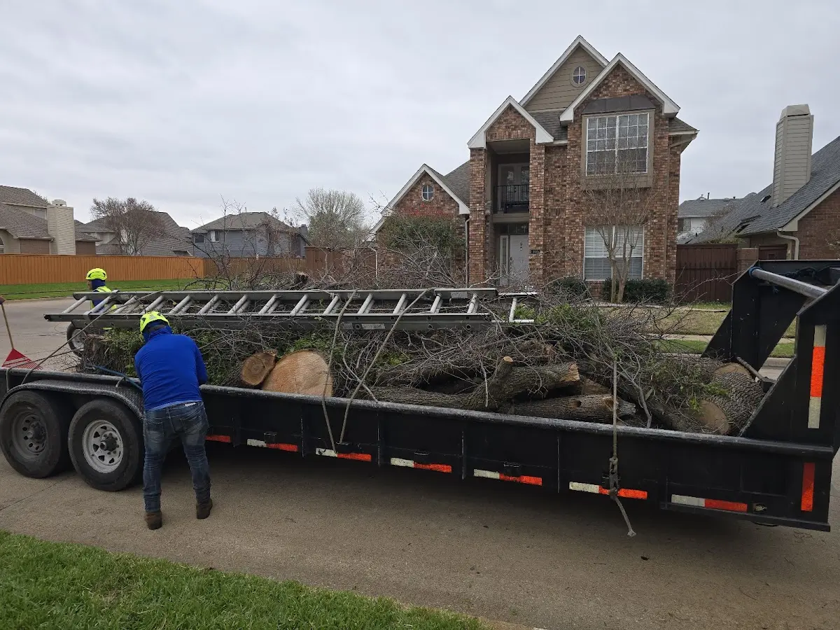 Expert Tree Pest Control with proper safety equipment in New Waverly